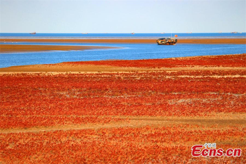 (Φωτογραφ?ε? / China News Service)